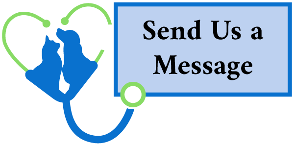 Message Our Animal Hospital Message Our Animal Hospital